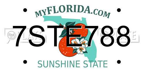 7STE788 Florida License Plate