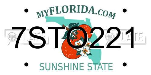 7STO221 Florida License Plate
