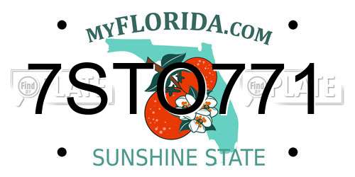 7STO771 Florida License Plate