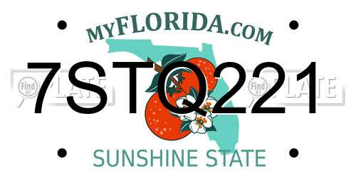 7STQ221 Florida License Plate