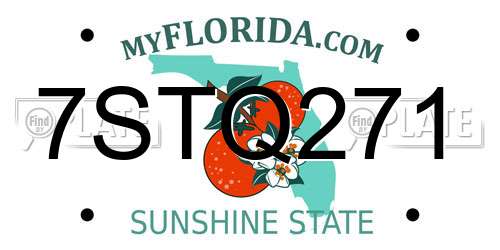 7STQ271 Florida License Plate