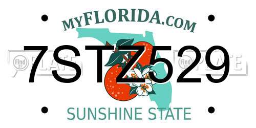 7STZ529 Florida License Plate