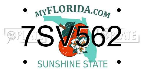 7SV562 Florida License Plate