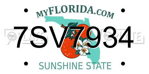 7SV7934 Florida License Plate