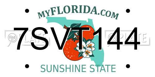 7SVT144 Florida License Plate