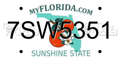 7SW5351 Florida License Plate