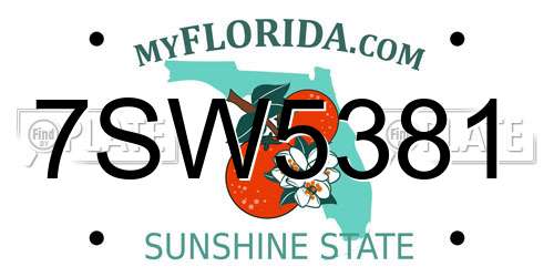 7SW5381 Florida License Plate