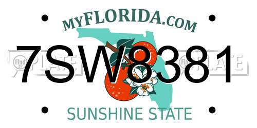 7SW8381 Florida License Plate