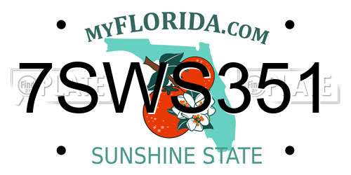 7SWS351 Florida License Plate