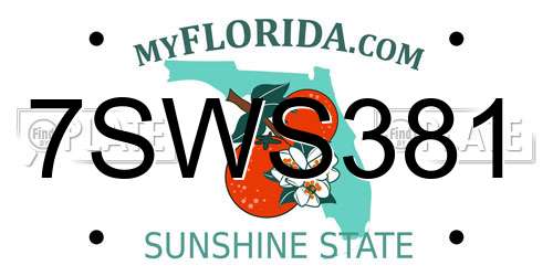 7SWS381 Florida License Plate