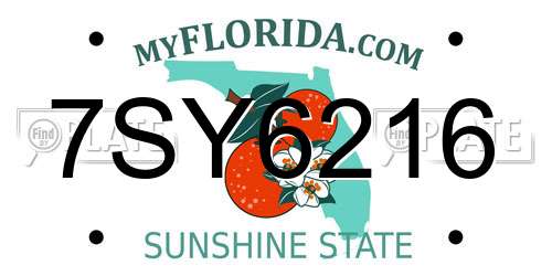 7SY6216 Florida License Plate