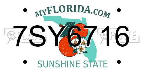 7SY6716 Florida License Plate