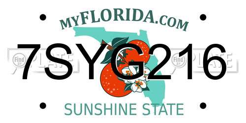 7SYG216 Florida License Plate