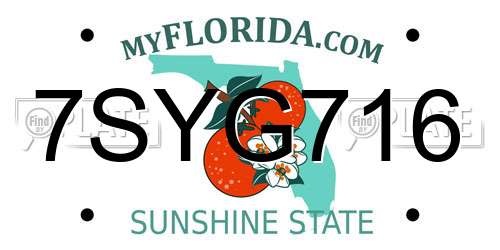 7SYG716 Florida License Plate