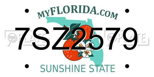 7SZ2579 Florida License Plate
