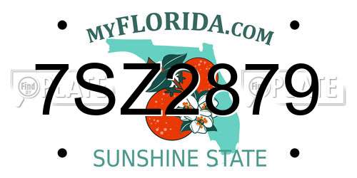 7SZ2879 Florida License Plate