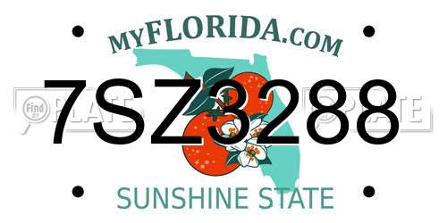 7SZ3288 Florida License Plate