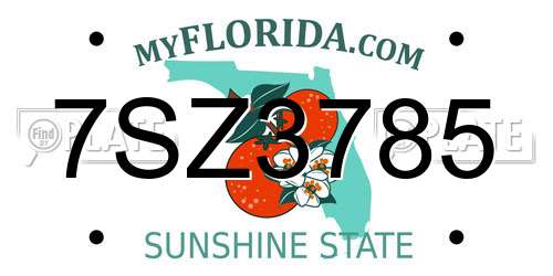 7SZ3785 Florida License Plate