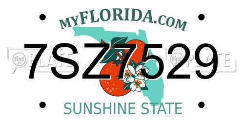 7SZ7529 Florida License Plate