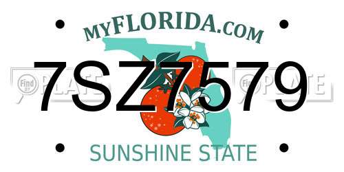 7SZ7579 Florida License Plate