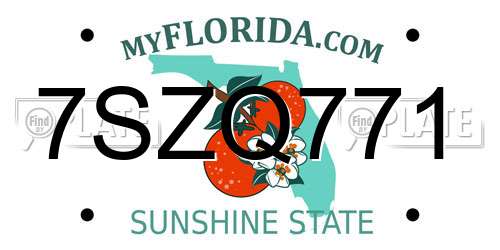 7SZQ771 Florida License Plate