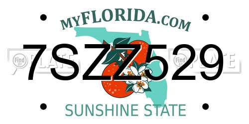 7SZZ529 Florida License Plate