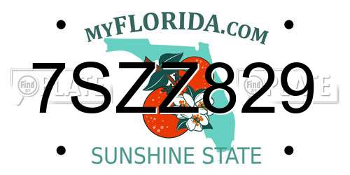 7SZZ829 Florida License Plate