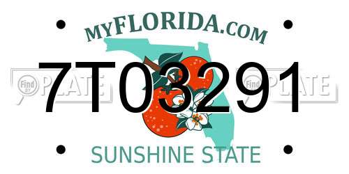 7T03291 Florida License Plate