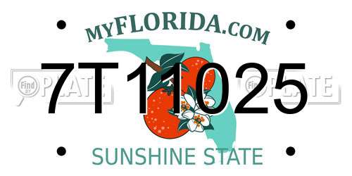 7T11025 Florida License Plate
