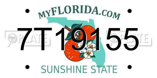7T19155 Florida License Plate