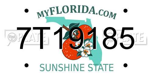 7T19185 Florida License Plate