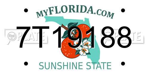 7T19188 Florida License Plate