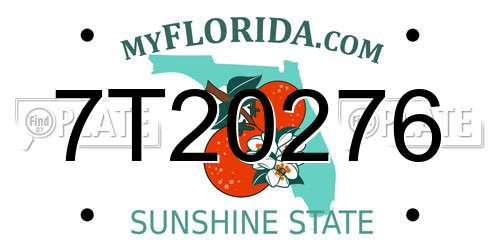 7T20276 Florida License Plate