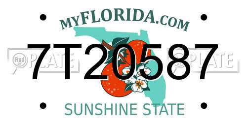 7T20587 Florida License Plate