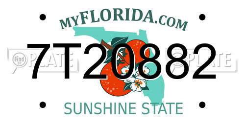 7T20882 Florida License Plate