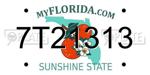 7T21313 Florida License Plate