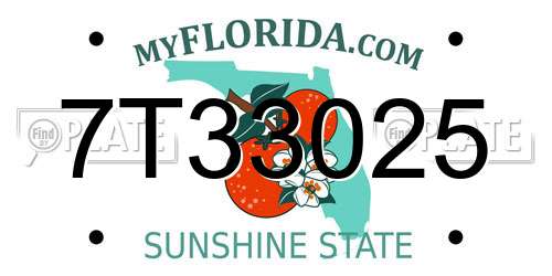 7T33025 Florida License Plate