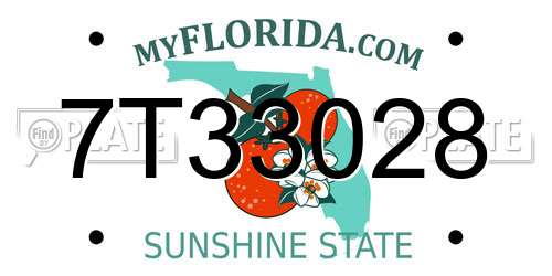 7T33028 Florida License Plate