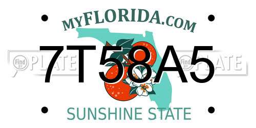 7T58A5 Florida License Plate