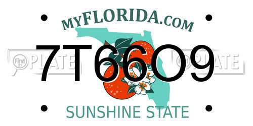 7T66O9 Florida License Plate