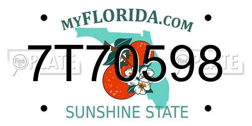 7T70598 Florida License Plate