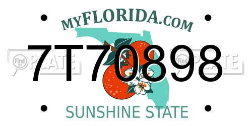 7T70898 Florida License Plate