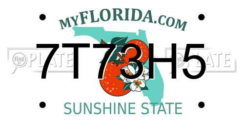 7T73H5 Florida License Plate