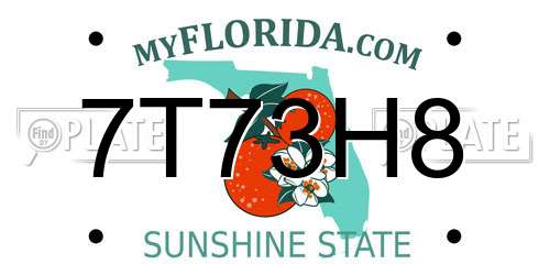 7T73H8 Florida License Plate