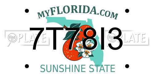 7T78I3 Florida License Plate