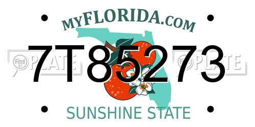 7T85273 Florida License Plate