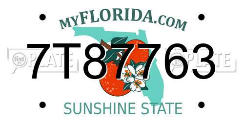 7T87763 Florida License Plate