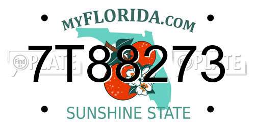 7T88273 Florida License Plate