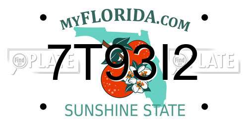 7T93I2 Florida License Plate