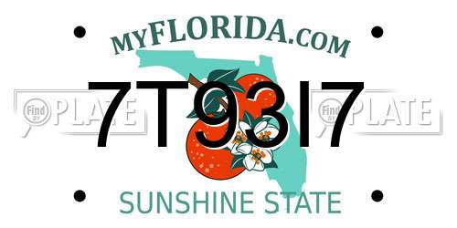 7T93I7 Florida License Plate